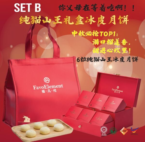 Set B (猫山王尊享版礼盒) 6粒 纯猫山王冰皮月饼 (Out Of Stock)